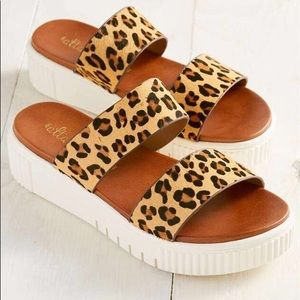 altar’d state cheetah platform shoes